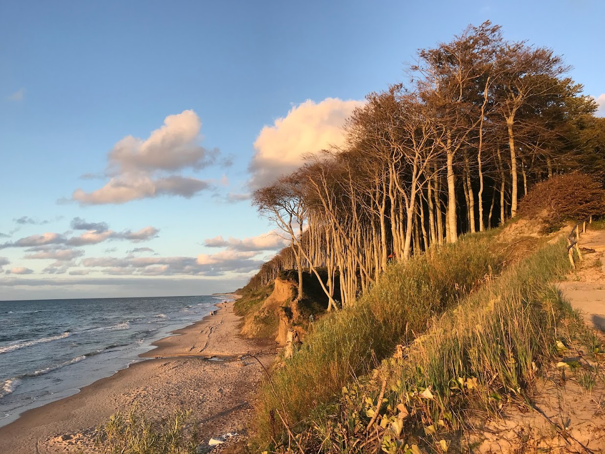 Klif w Poddąbiu, widok ze zjazdu technicznego w kierunku Rowów