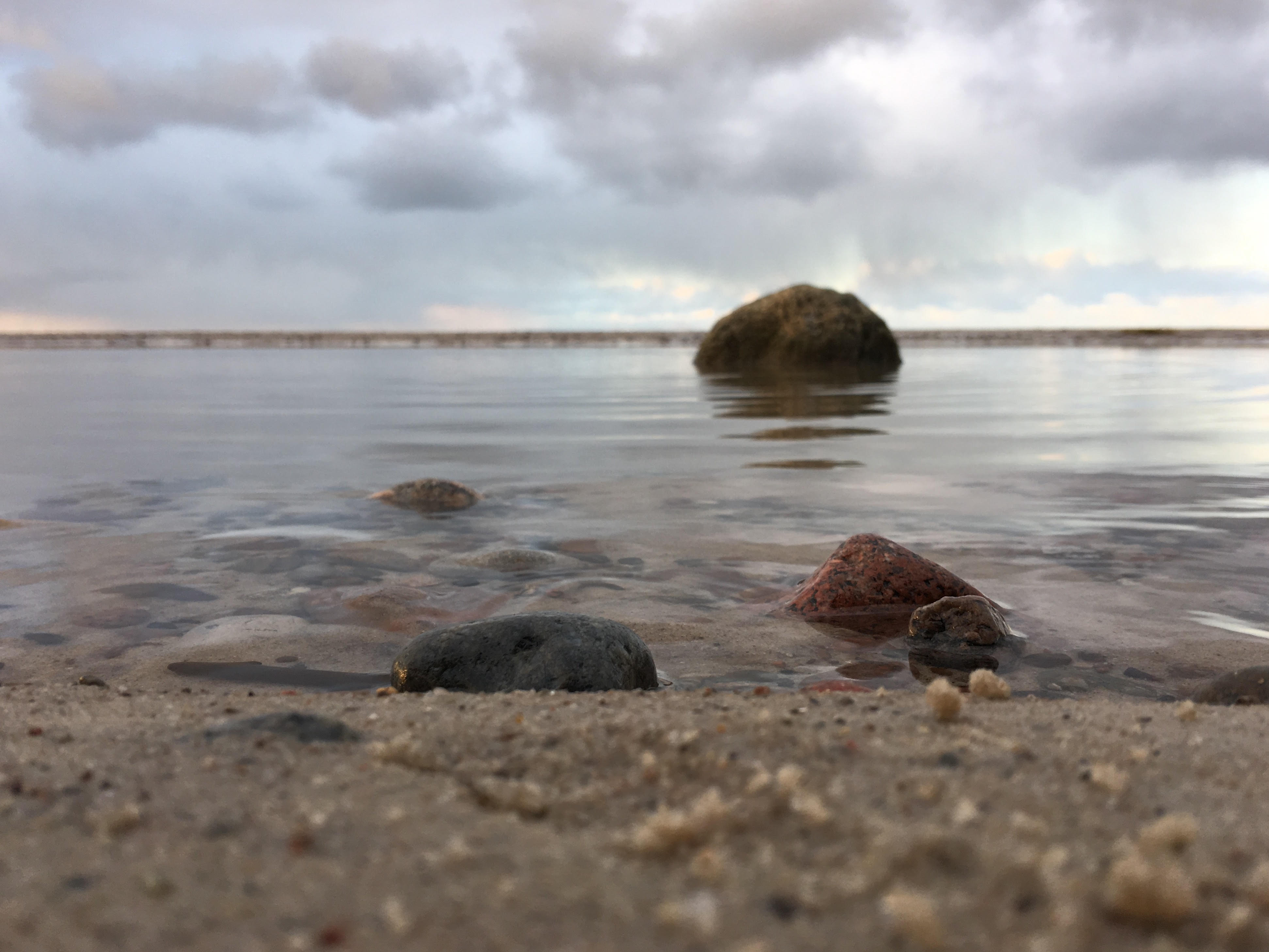 Plaża w skali mikro, Poddąbie w obiektywie